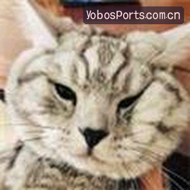 赵明