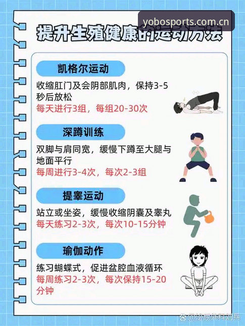 yobo体育官方版功能解析与高效使用指南