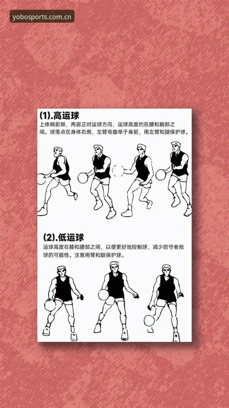 yobo体育平台使用技巧实用指南：老用户的经验分享